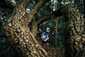 BIB: 
                            <button type="button" onclick="openModal(25393496)" class="btn btn-primary btn-sm float-right btn-popup" data-toggle="modal" data-target=".modal-high-quality">
                        <i class="fas fa-shopping-cart"></i> Add to Cart
                    </button>
                                            <button type="button" onclick="isThisMe(25393496, true)" class="btn btn-success btn-sm float-right btn-popup btn-isme hidden" data-toggle="tooltip" data-placement="bottom" title="นี่คือรูปของคุณใช่ไหม คลิกที่นี่เพื่อเอาเข้าอัลบั้ม">
                        <i class="fas fa-plus"></i> Add to album
                    </button>
                    <button type="button" onclick="isThisMe(25393496, false)" class="btn btn-warning btn-sm float-right btn-popup btn-isnotme hidden">
                        <i class="fas fa-ban"></i> Remove from album
                    </button>